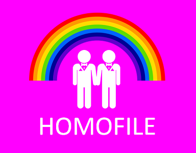 Samkjønnet ekteskap