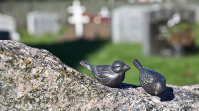 Dialogmøte om gravplassvirksomheten i Gjerdrum