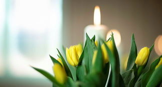 Påskeblomster