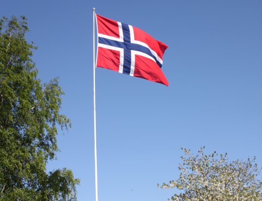 Flagg i maisol og blomstring. (Foto: Inger S. Haug). 