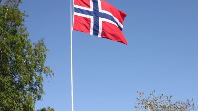 Flagg i maisol og blomstring. (Foto: Inger S. Haug). 