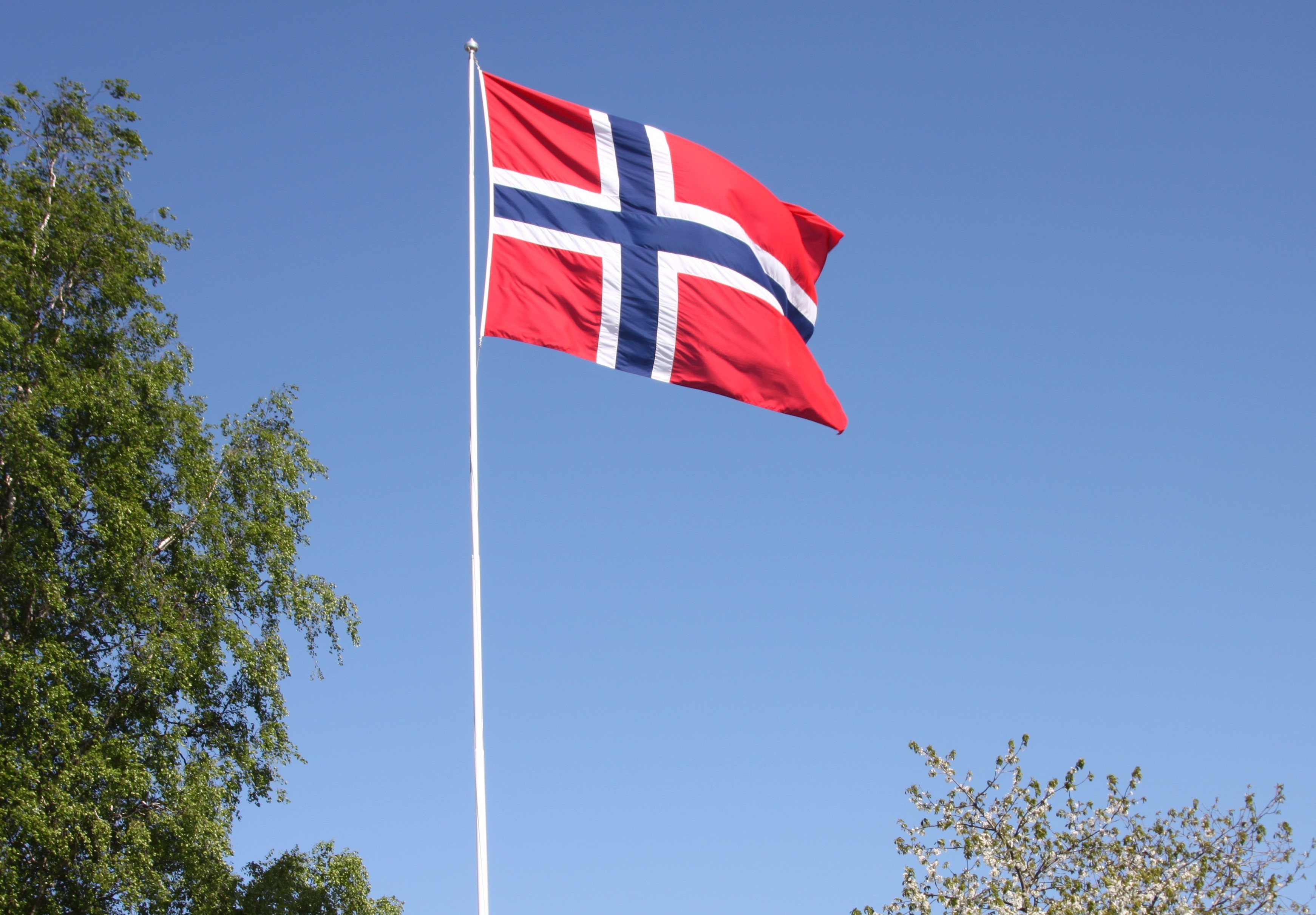 Det norske flagget vaier i vinden omkranset av bjørk og morell i vårblomstring. Foto: Kirken i Gran, Inger S. Haug.