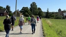 Pilegrimsvandring fra St. Petri over til Granavollen. Foto: Jane Dahl Sogn 2023.