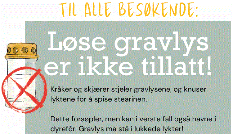 Nye regler for gravlys i Grimstad