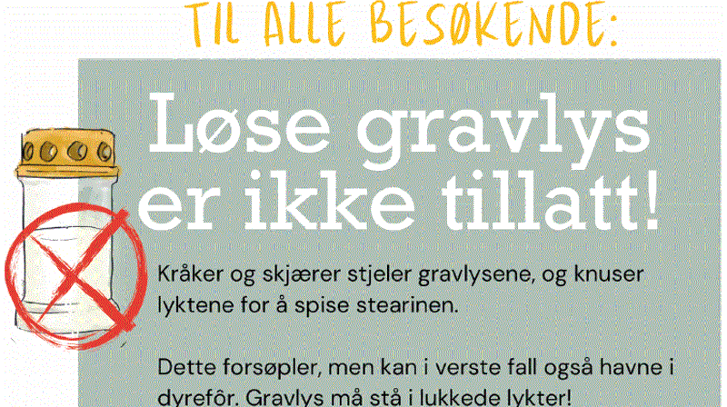 Nye regler for gravlys i Grimstad
