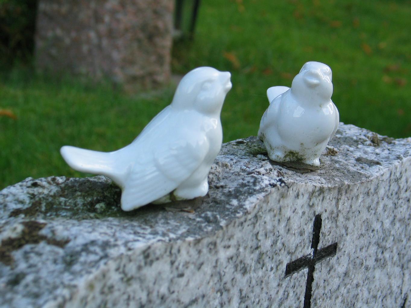 Priser for stell av gaver