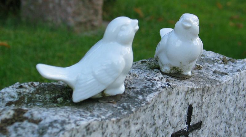 Priser for stell av gaver