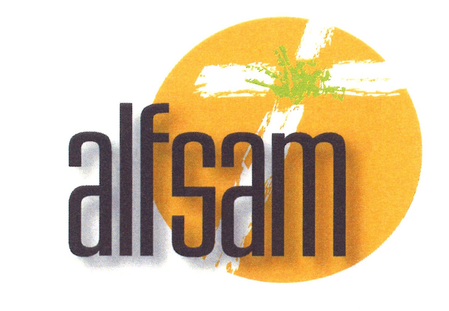 Alfsam - alle funksjonsnivåer sammen