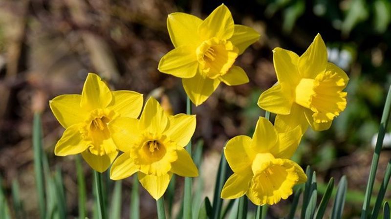 En annerledes påske i kirken vår