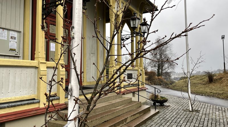 Et tre med bønn og håp