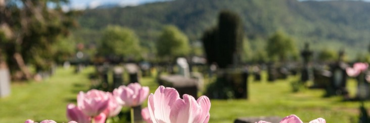 Informasjon om gravstell og prisar f.o.m. 2021