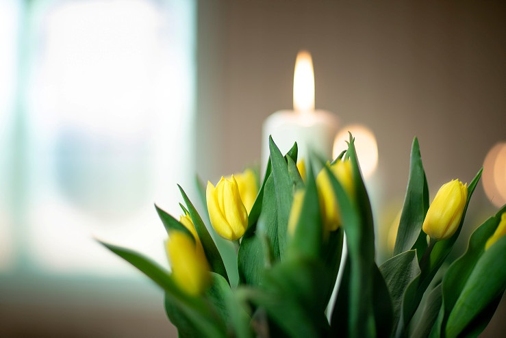 Påskestemning med gule tulipanblomster foran hvitt stearinlys. Står på alteret i Fenstad kirke. Foto: Bo Mathise