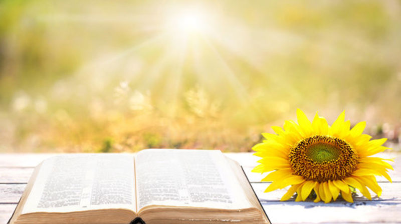 Hvem leter du etter?