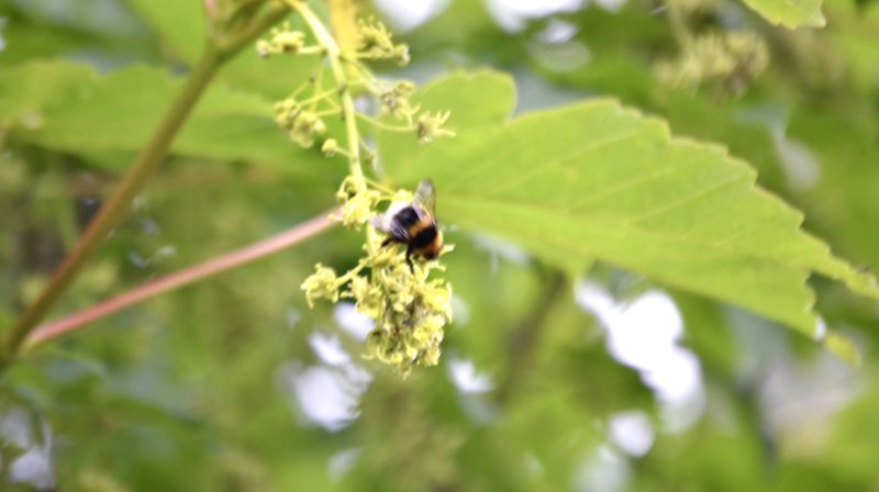 Ro i sjela og i kroppen