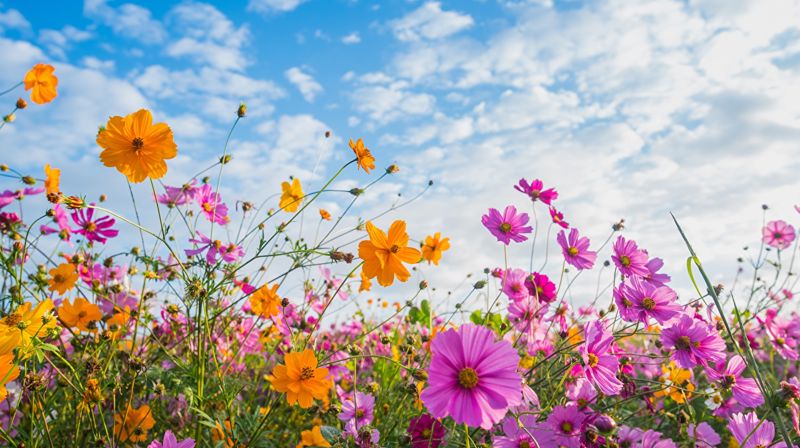 Feiring av liv og håp!