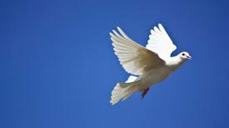 Gudstjeneste i Melbu kirke