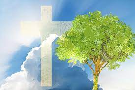 Å komme tilbake til virkeligheten med et brak!