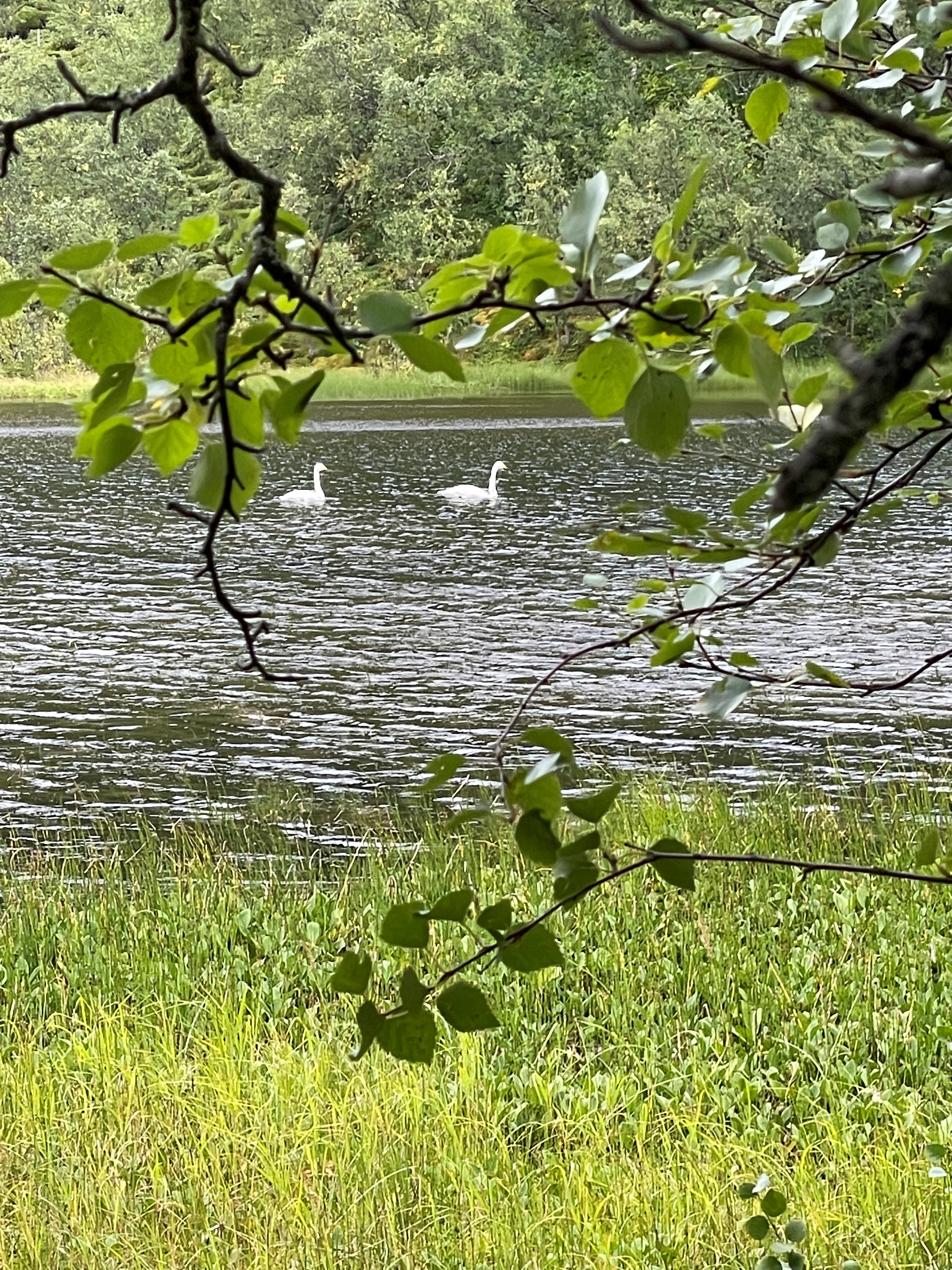 ARCTICulation of Faith