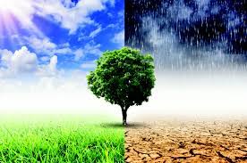 Guds skaperverk – og klimaet