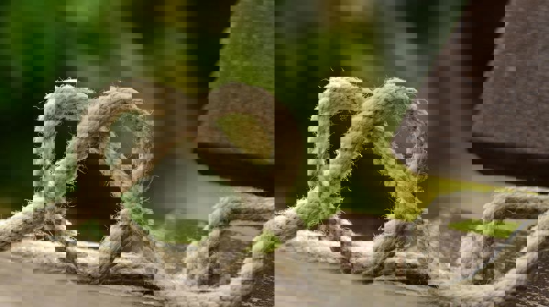 Foto: Pexels-pixabay