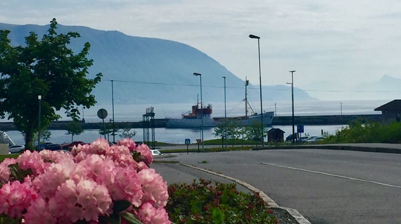 Hareid sokn med fleire programpostar, Hareidsstemna 2023