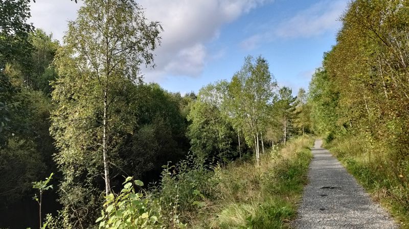 Kyrkjekontoret i haustferieveka 2020