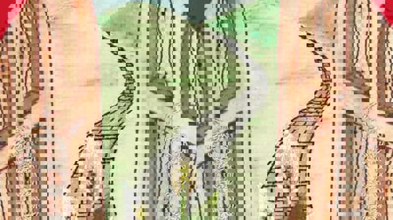 Kunstner: Angie Fox. Angie Fox er en kunstner som broderer og designer liturgiske klær. Hun vokste opp i Norfolk, der hun lærte å strikke og sy av moren. Hun har lært seg nye metoder innenfor håndarbeid og søm hele livet.