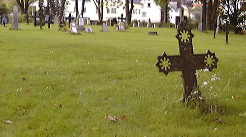 Trefelling på kyrkjegarden