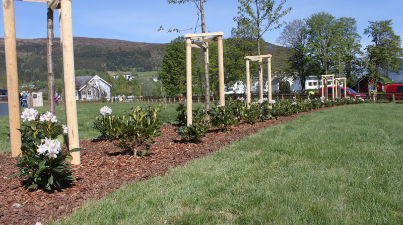 Vårdugnad på kyrkjegarden