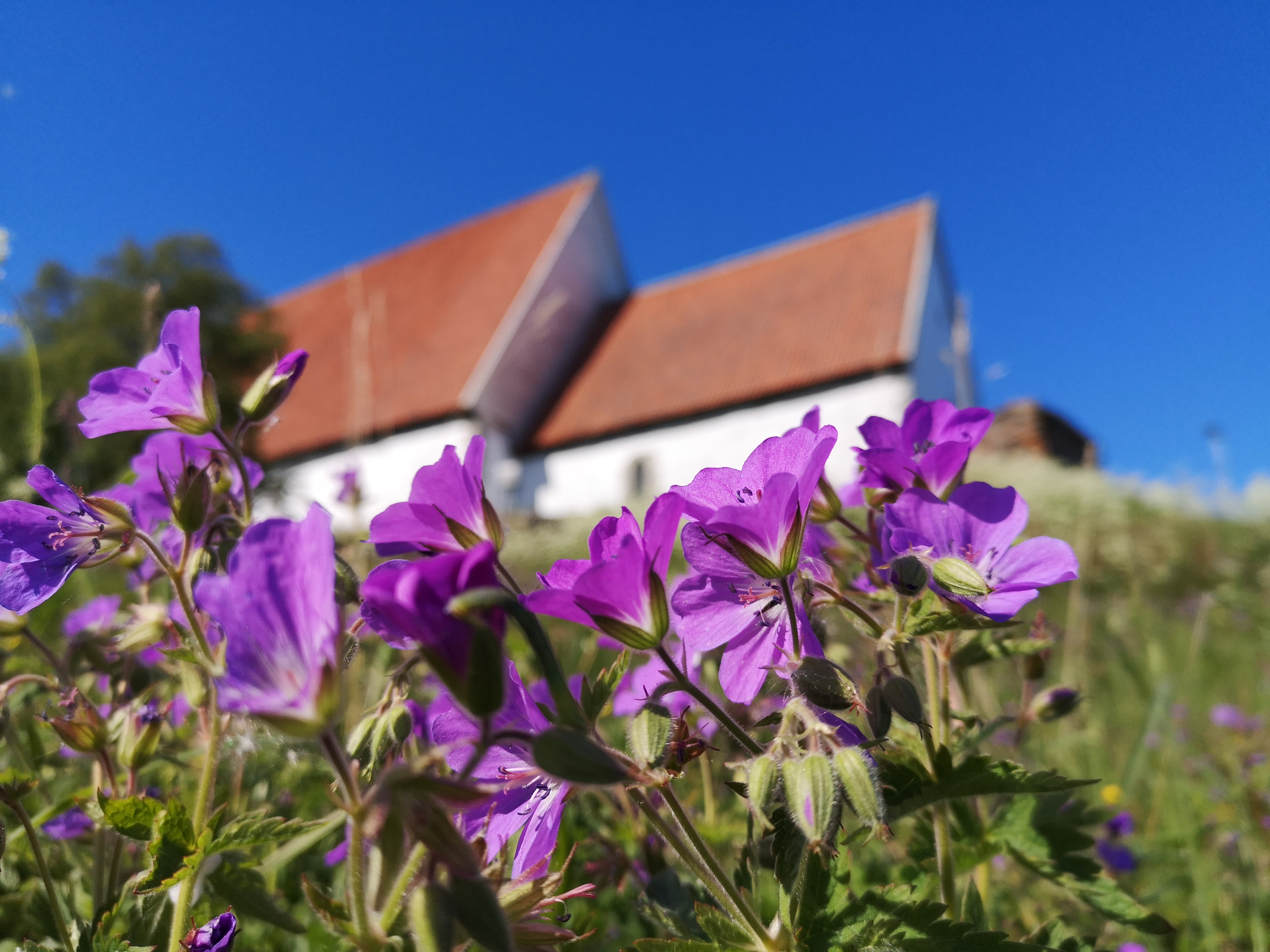 Konfirmant i Trondenes menighet