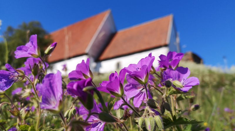 Konfirmant i Trondenes menighet