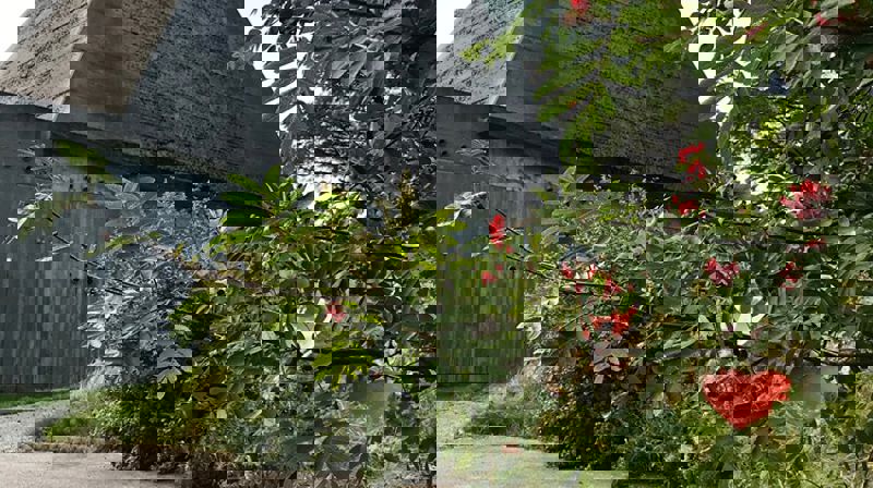 Årsmeldingen for Rossabø menighet 2019