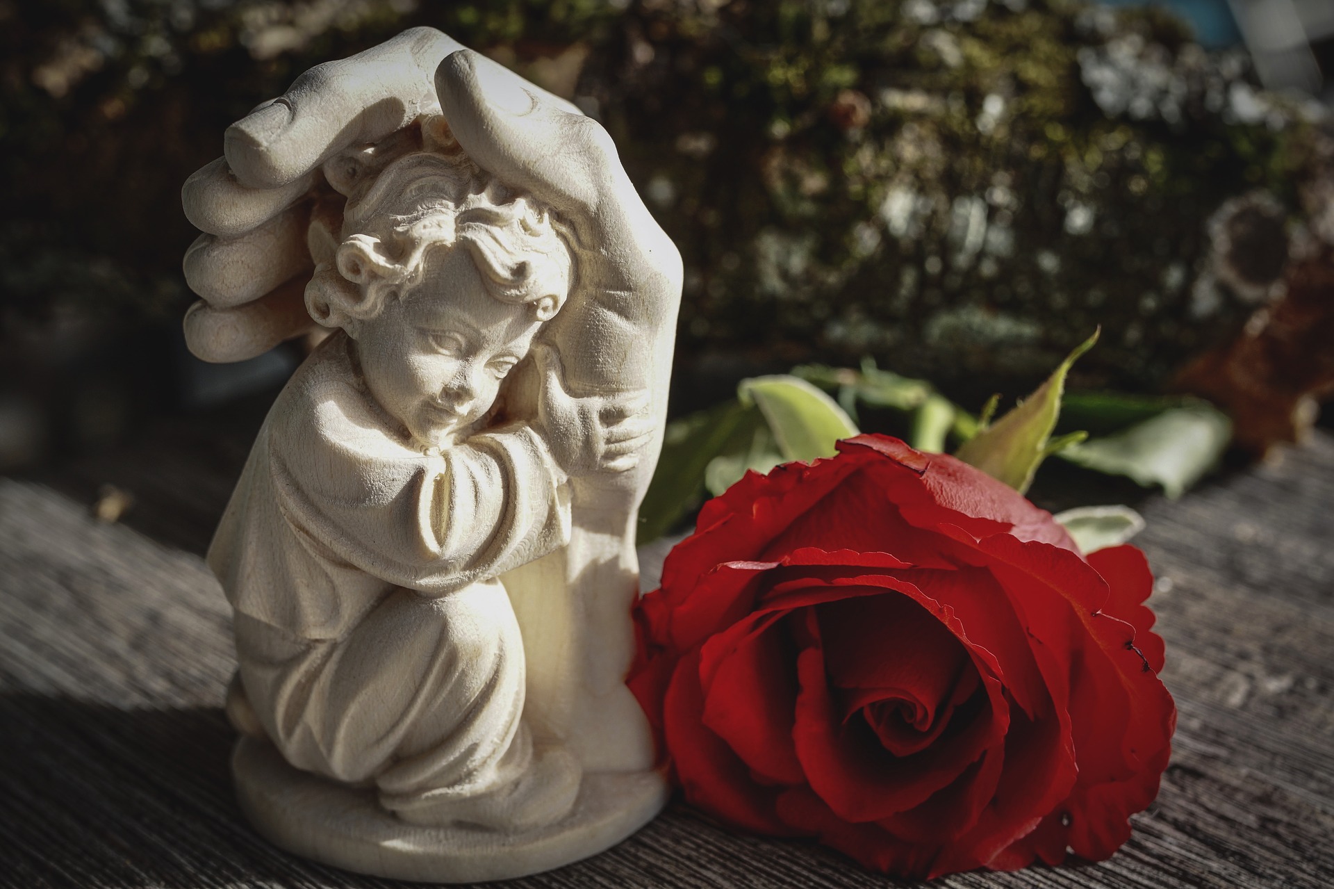 Sorggrupper - Samtalegrupper høsten 2025