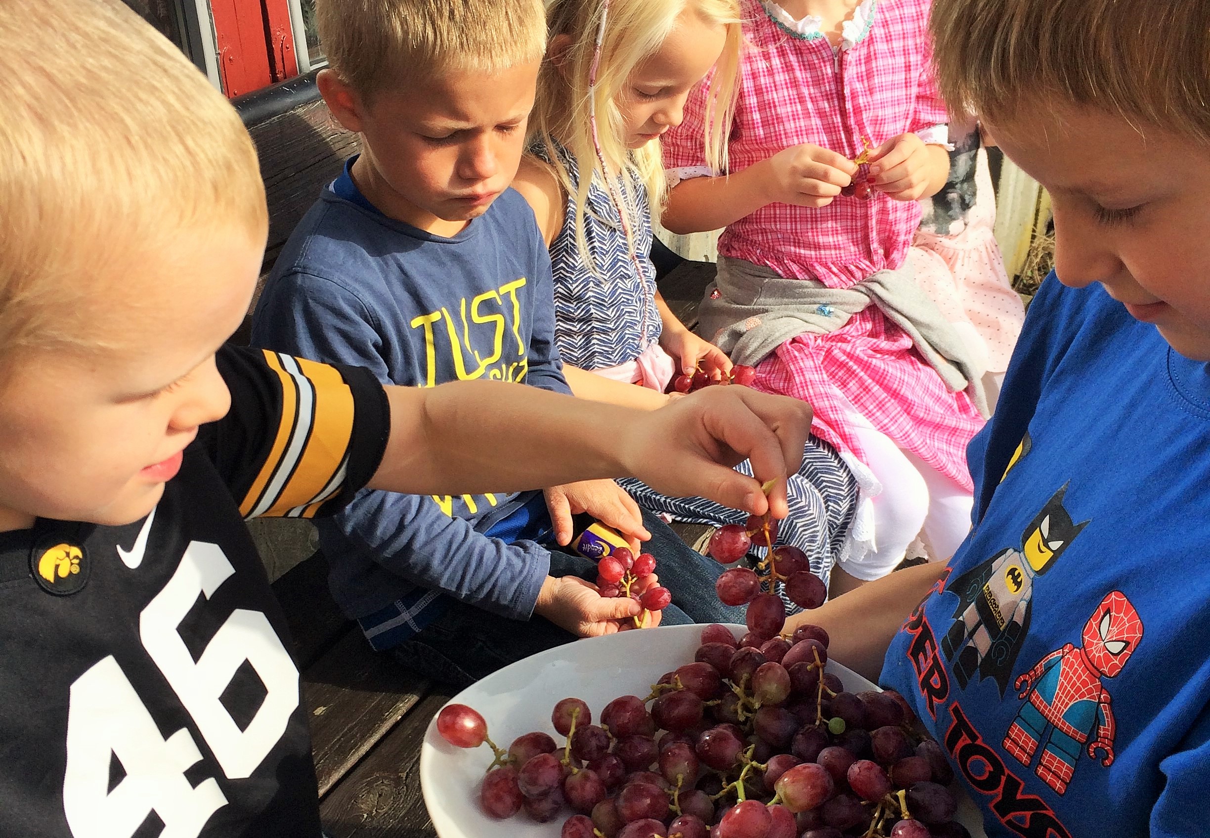 En førsteklasses opplevelse
