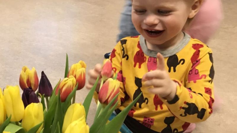 Bli med på Småbarnssang