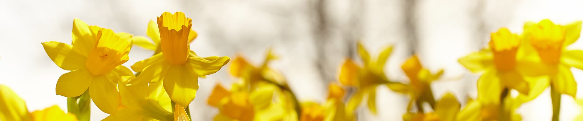 Toppbilde for Heim kirkelige fellesråd