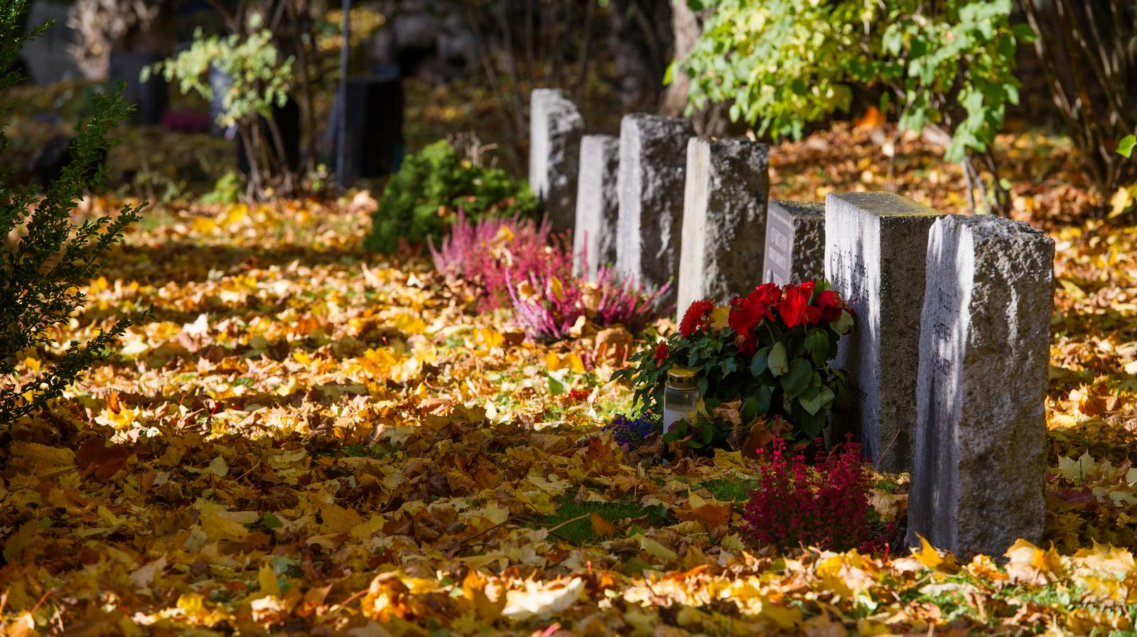 Foto av gravst&#248;tter: Anders Bergersen.