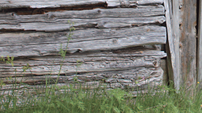 Fremdeles kritisk for Kirkedøra