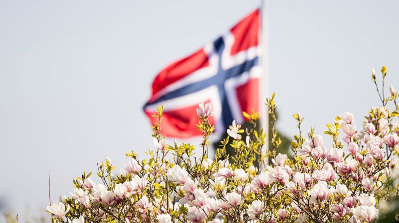 Det norske flagg. Foto: Helene Moe Slinning.