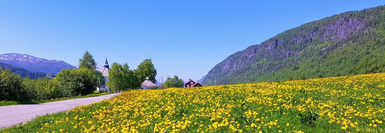 Toppbilde for Heim kirkelige fellesråd