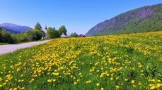 Foto: Stig Ottar Jensen