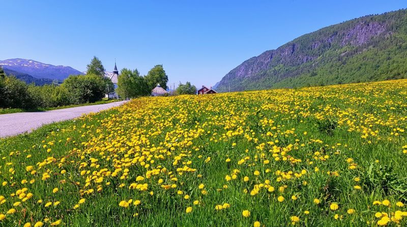 Foto: Stig Ottar Jensen