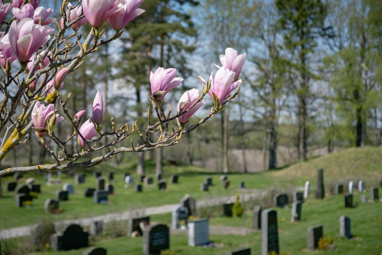 Foto: Kirker&#229;det