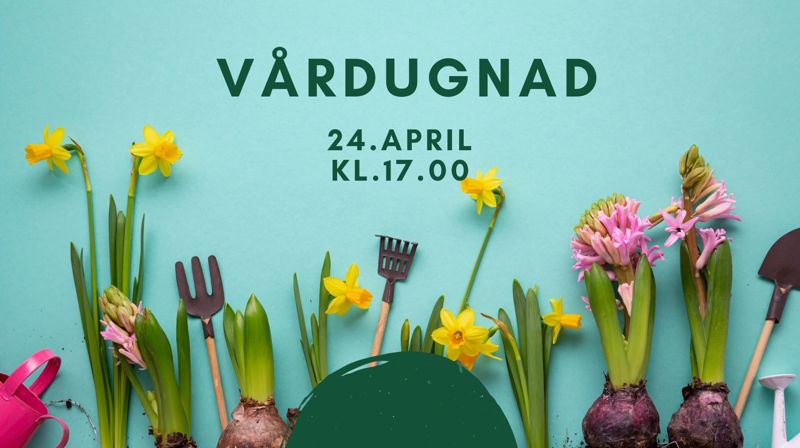 Vårdugnad