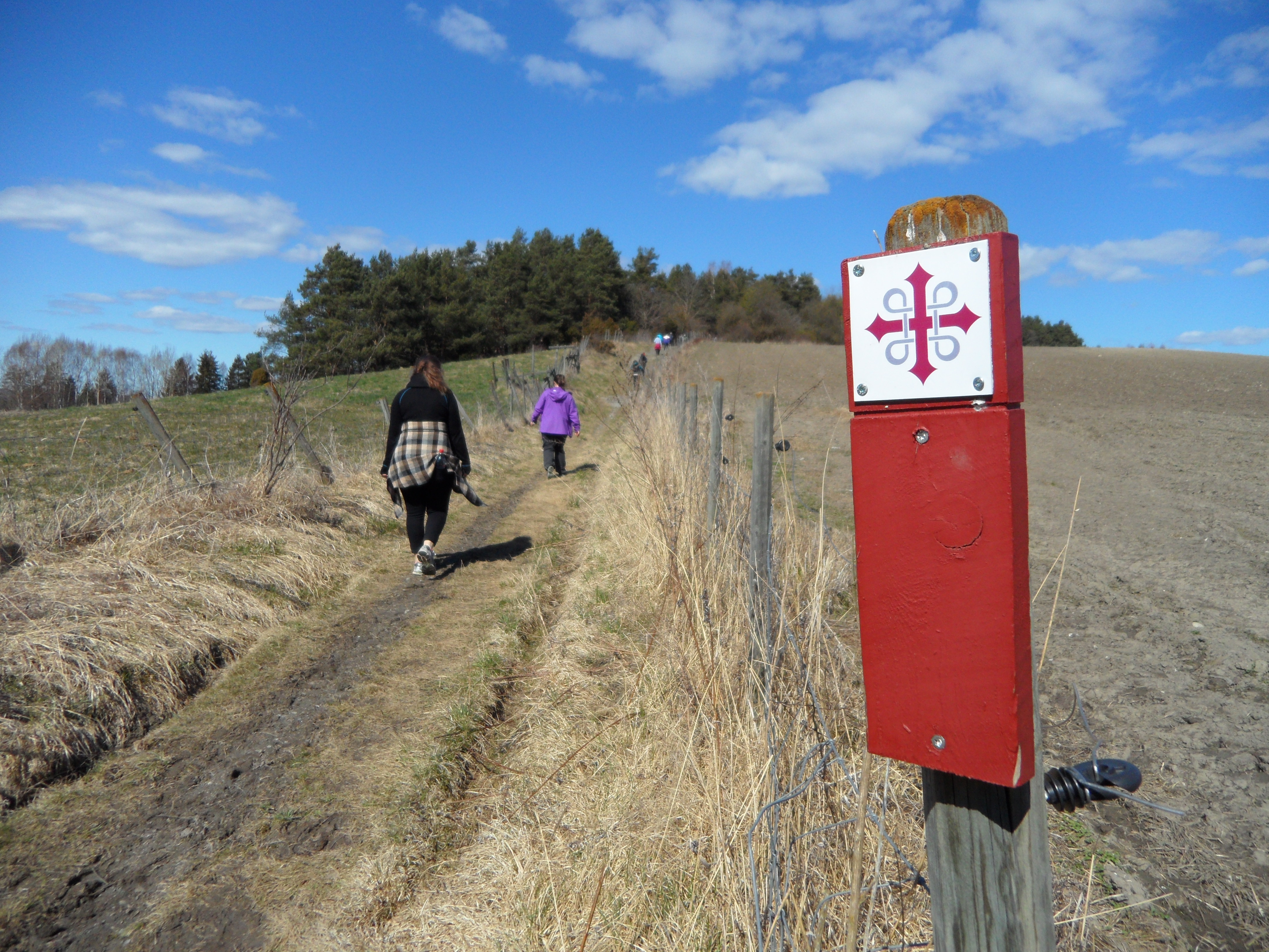 Pilegrimsleden mellom Hole kirke og Norderhov kirke. Foto: Halvor Bekken Aschim