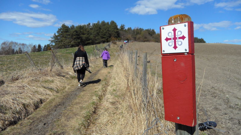 Pilegrimsleden mellom Hole kirke og Norderhov kirke. Foto: Halvor Bekken Aschim
