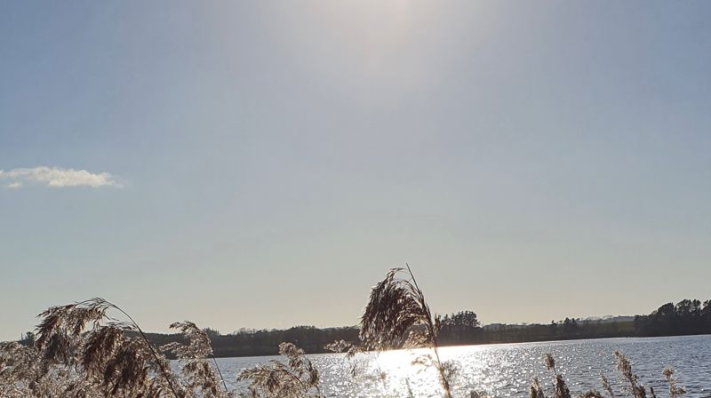 Påskedagsgudstjeneste på nett