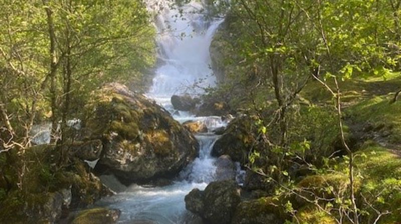 Velkommen til kveldssamling