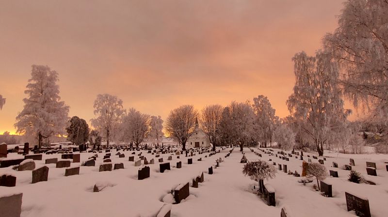 Ofte stilte spørsmål til gravferdsforvaltningene