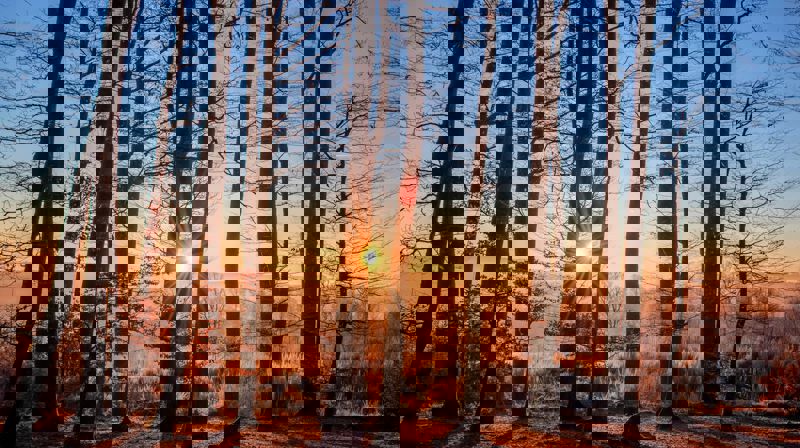 Betaling konfirmasjon